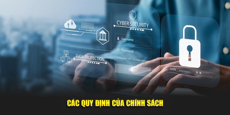 Các yêu cầu của chính sách