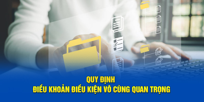Quy định điều khoản điều kiện vô cùng quan trọng